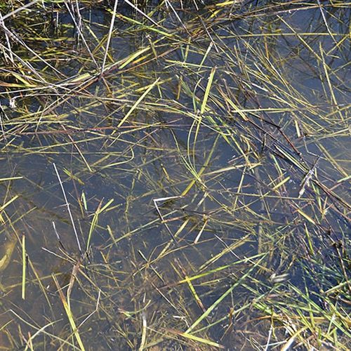 Still Water 250ml AK8008